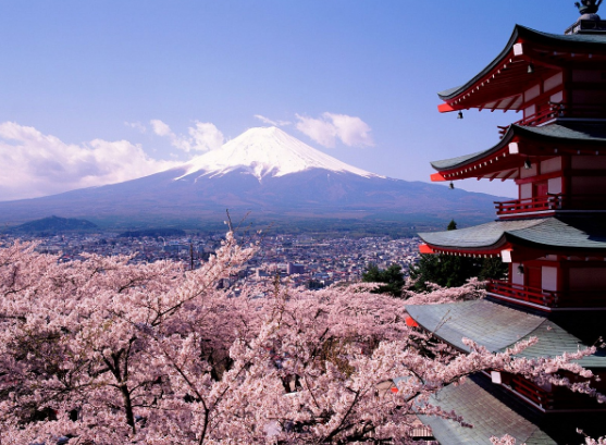 Immerse Yourself in Kyoto’s Culture With Business Class Flights to Japan - IFlyFirstClass