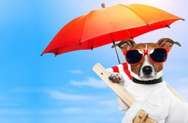 cheap business class discount - IFlyFirstClass