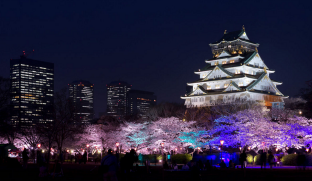 First Class Flights to Osaka are the Ultimate in Relaxation - IFlyFirstClass
